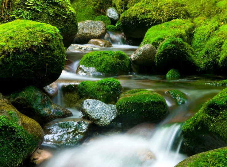 Bienvenue sur notre site web - Welcome to our website - The Natural a Life Style